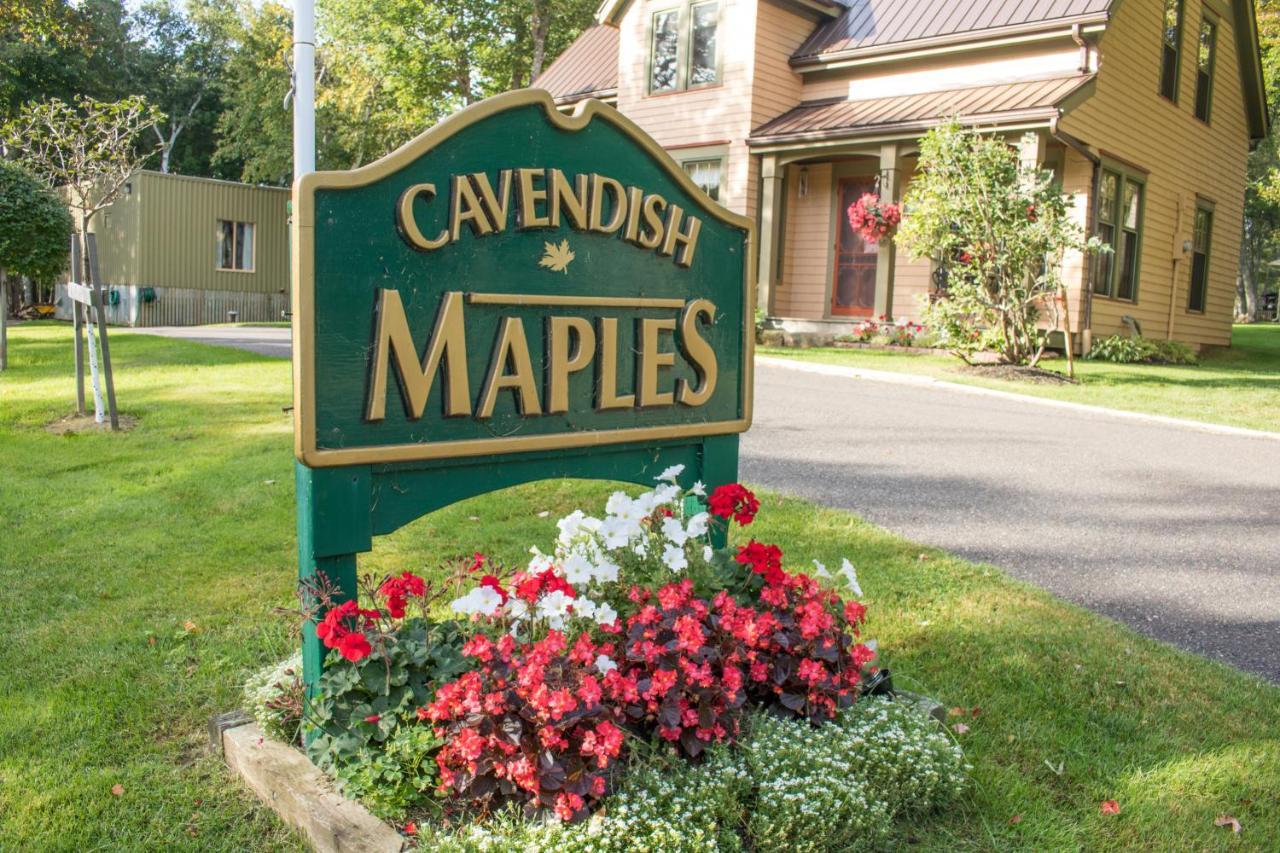 Cavendish Maples Cottages מראה חיצוני תמונה